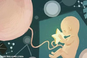 人工同志借卵代怀服务怎么找